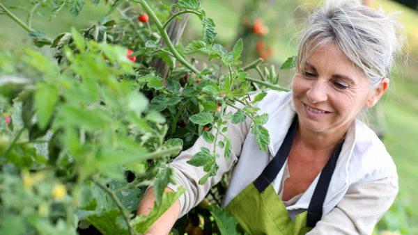 Dame bei der Gartenarbeit